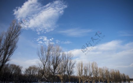 蓝天白云白雪树木