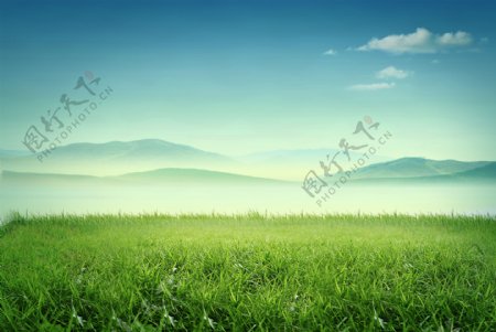 草与远山
