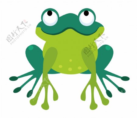 可爱大眼睛青蛙