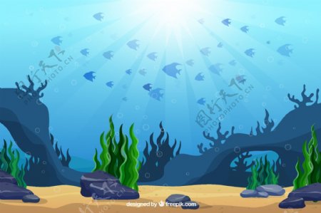创意海底世界鱼群风景