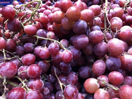 高清细节水果葡萄