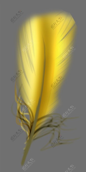 黄色漂亮羽毛