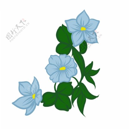 蓝色花朵花瓣