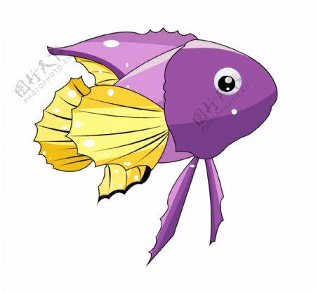 紫色水生鱼类