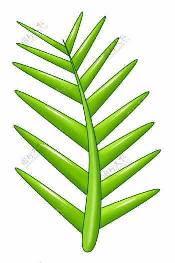 绿色热带植物