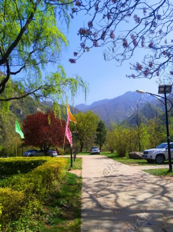 美丽的山路风景