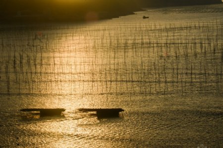 福建漳州市半月湾的夕阳