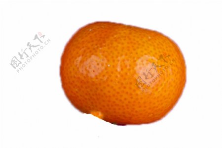 一个又圆又大的橘子