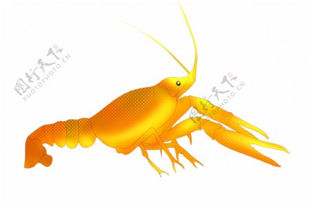 黄色龙虾动物插画