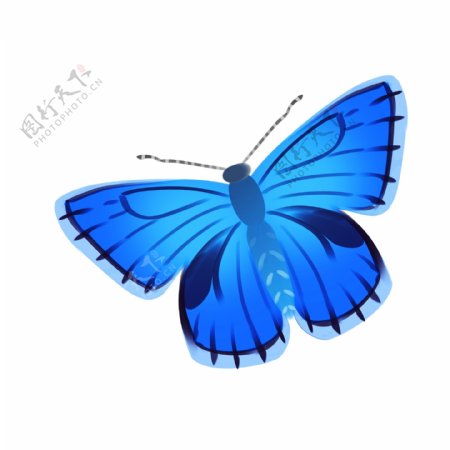 天蓝色的蝴蝶插画