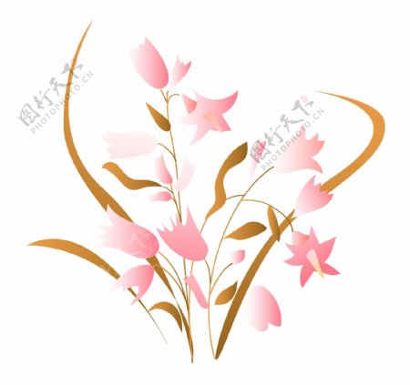 粉色花朵花藤插图