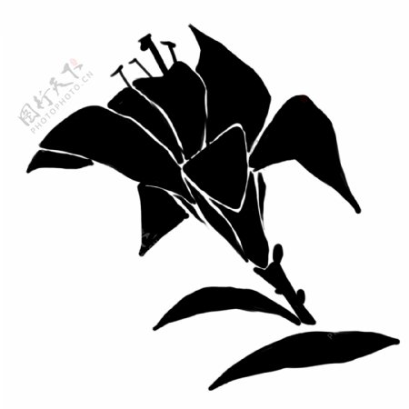 黑色的花朵装饰插画