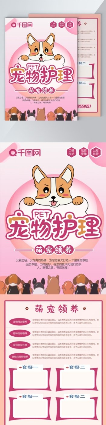 粉色宠物护理宠物主题宣传单
