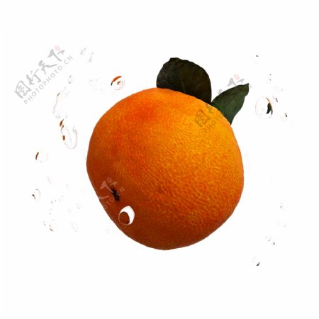 质感橙子png图