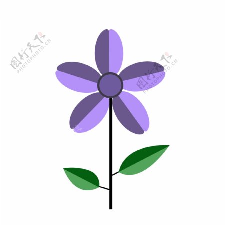卡通紫色小花