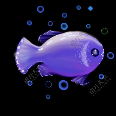 紫色海洋鱼类