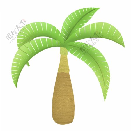 热带椰子树图案