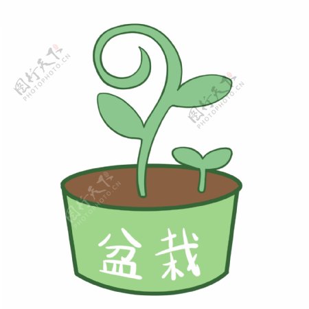 盆栽植物