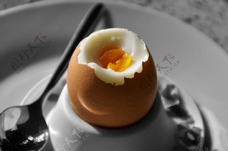 蛋