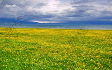 新疆赛里木湖秀丽风景