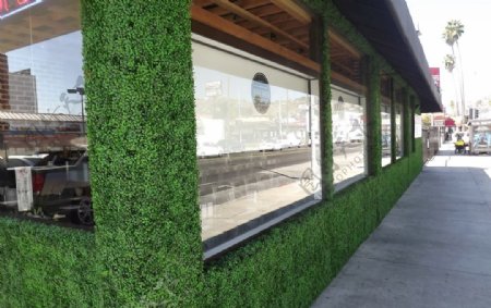 餐饮门店外墙绿化