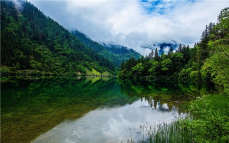 夏日唯美四川九寨沟