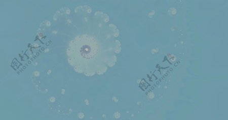 蓝色花卉螺旋背景