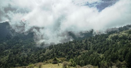 神农架神农顶风景