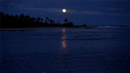 海边月光