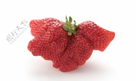 奇怪的草莓