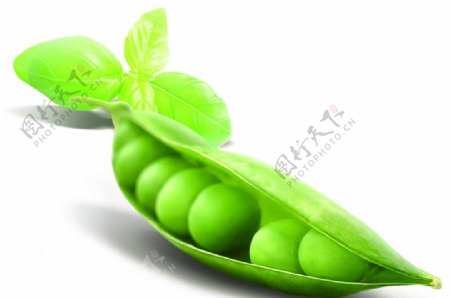 绿色豆角豆粒