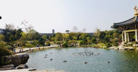 襄阳唐城公园
