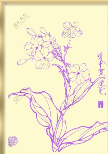 白描花卉