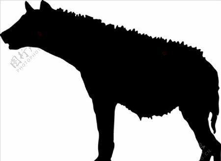 野生动物系列土狼狼矢量图