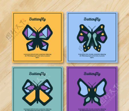 抽象蝴蝶卡片