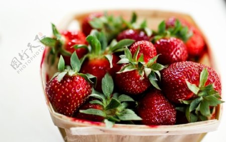 草莓水果绿色食品食物