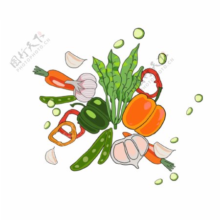 食材蔬菜手绘插画
