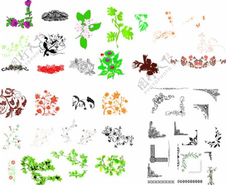 花草矢量图