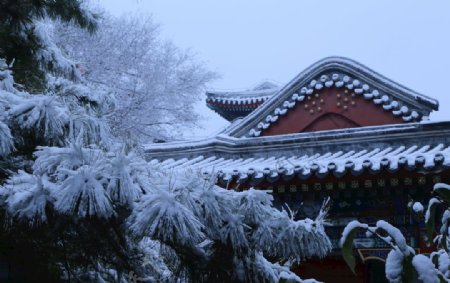 冬日初雪