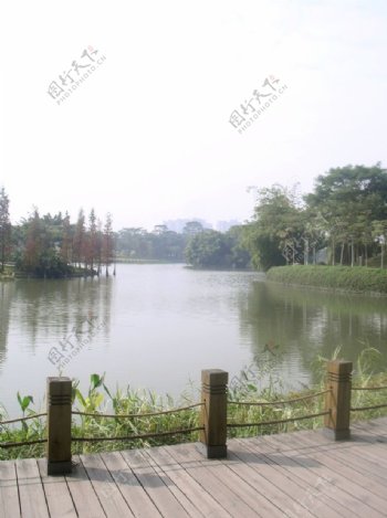 北滘公园湖