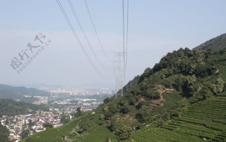 茶山远景杭州龙井山