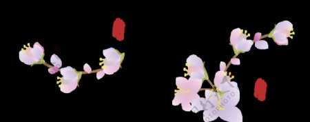 花卉集合粉色花朵