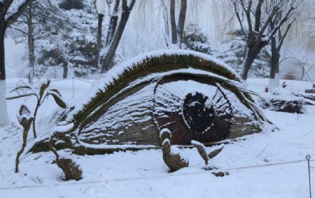 冬雪地景