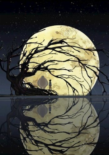 月亮与树枝的倒影