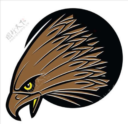 鹰头徽标设计