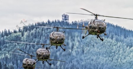 直升机飞机森林天空风景