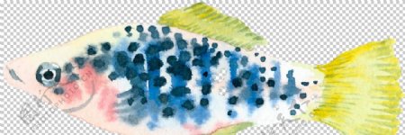 水彩手绘彩色深海鱼