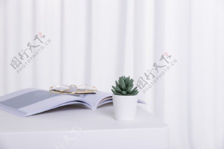 桌上的书和植物