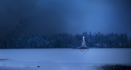 森林圣诞树雪地灯光风景