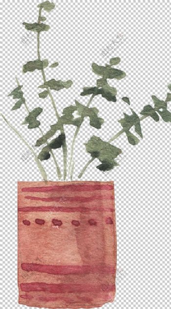 手绘盆栽植物